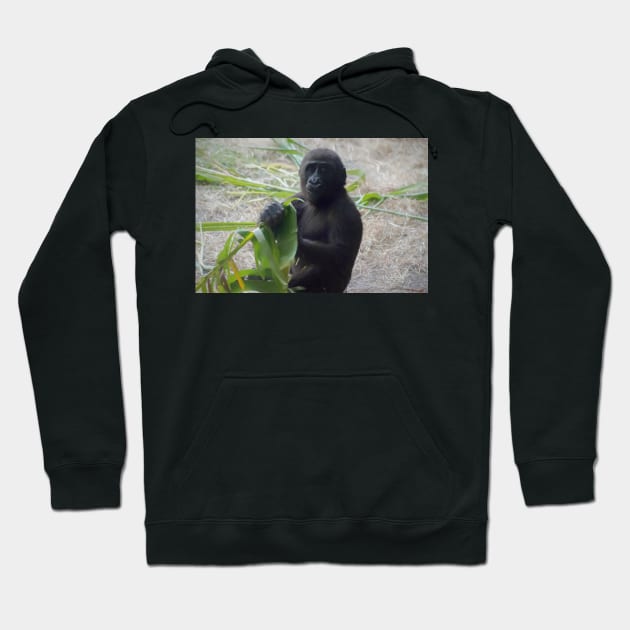 Baby Gorilla illustration Hoodie by Russell102